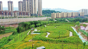 重庆北碚区梁滩河内源整治及清淤工程