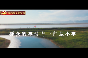 “我为群众办实事”公益广告