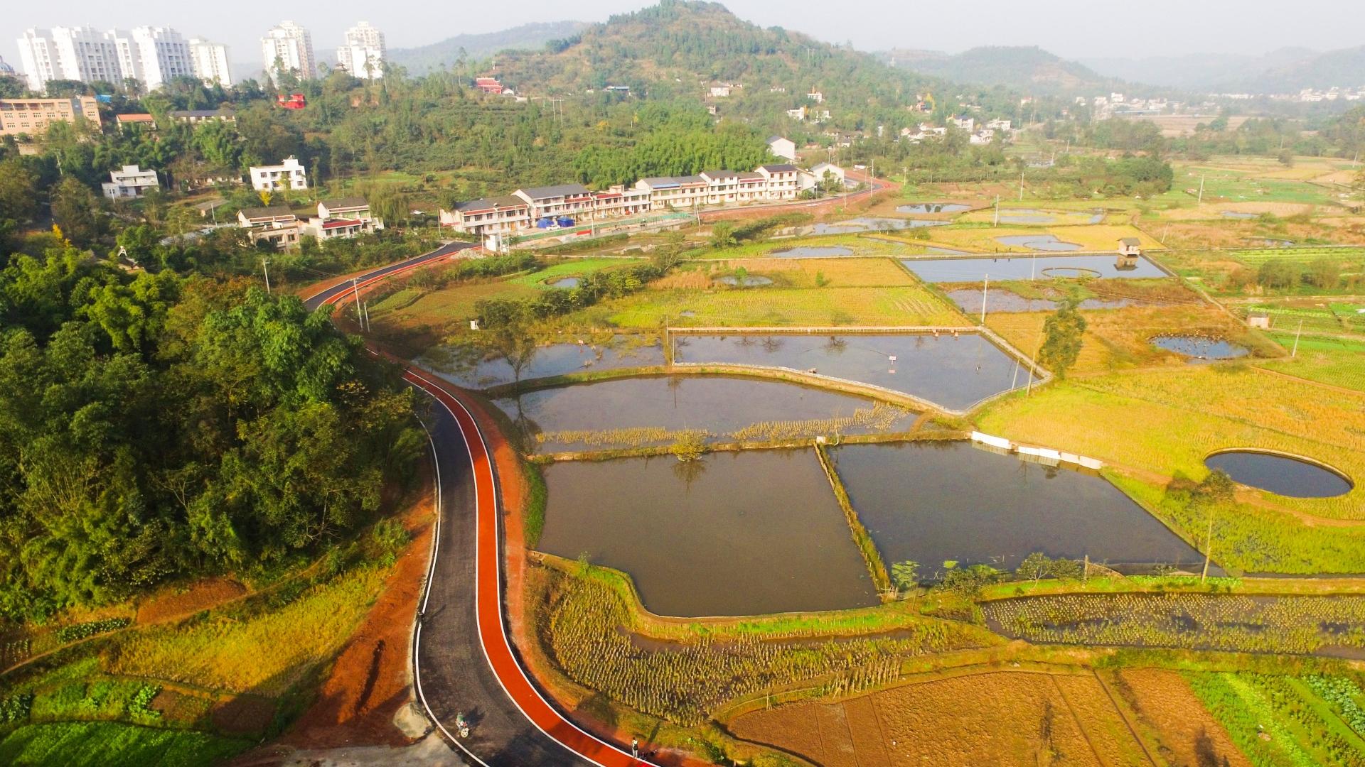 重庆大足棠乡人家旅游公路
