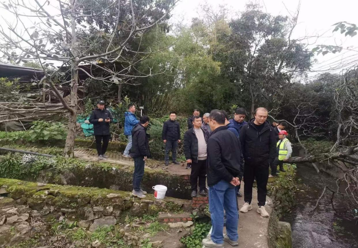 图片9