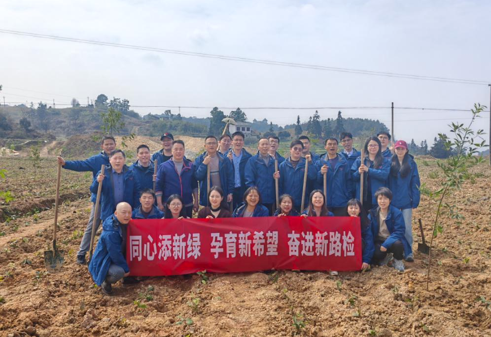 图片1 图片1