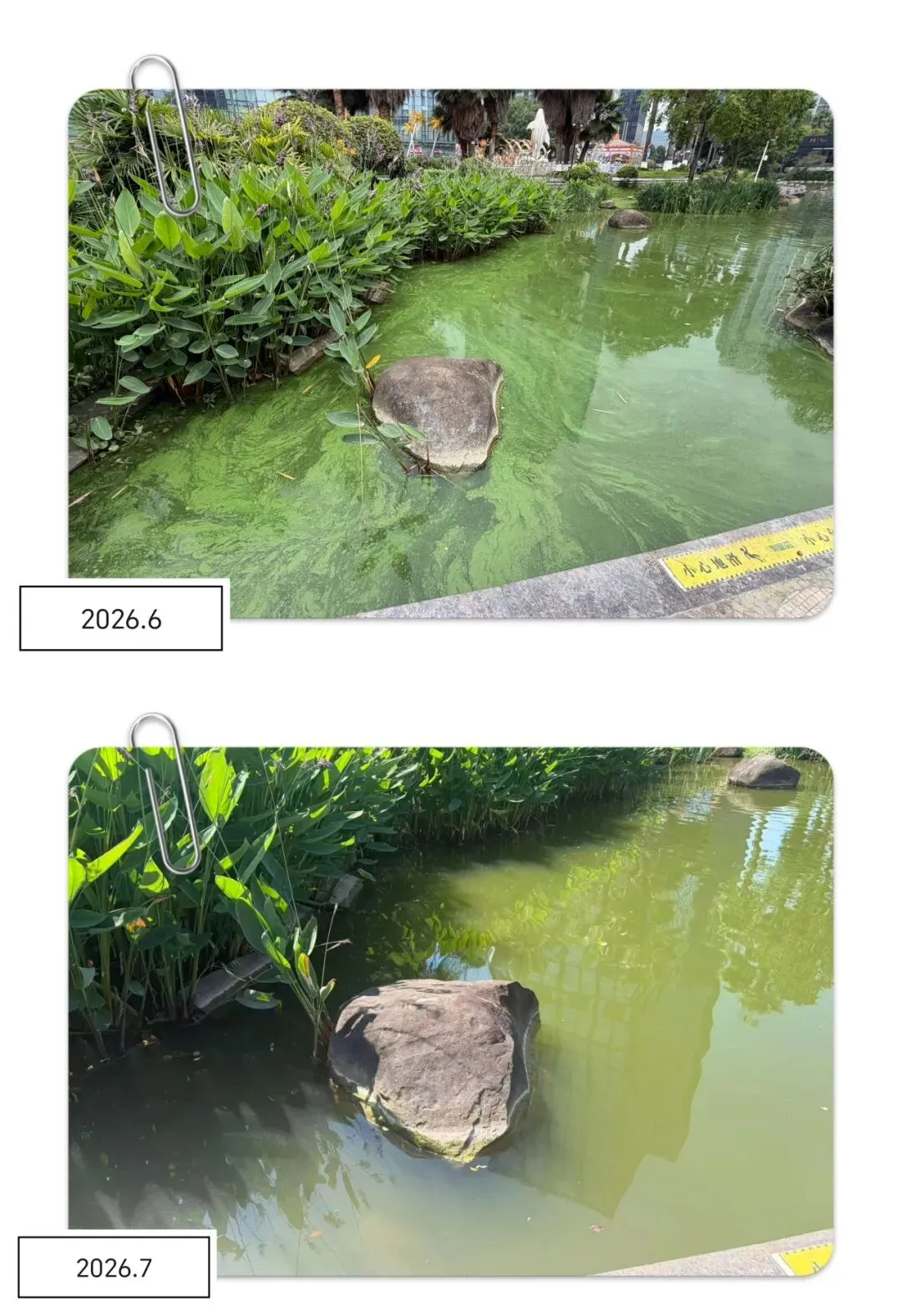 微信图片_2026-07-28_154100_925