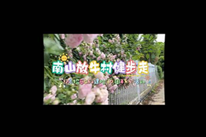 员工共赴春日之约 同贺甲子华诞 | 招商交科举办建院六十周年健步走活动（第二批）