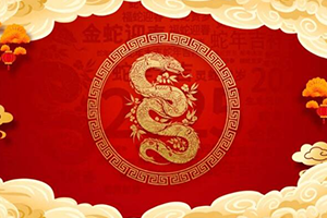 有“蛇”必有得丨招商交科贺新春
